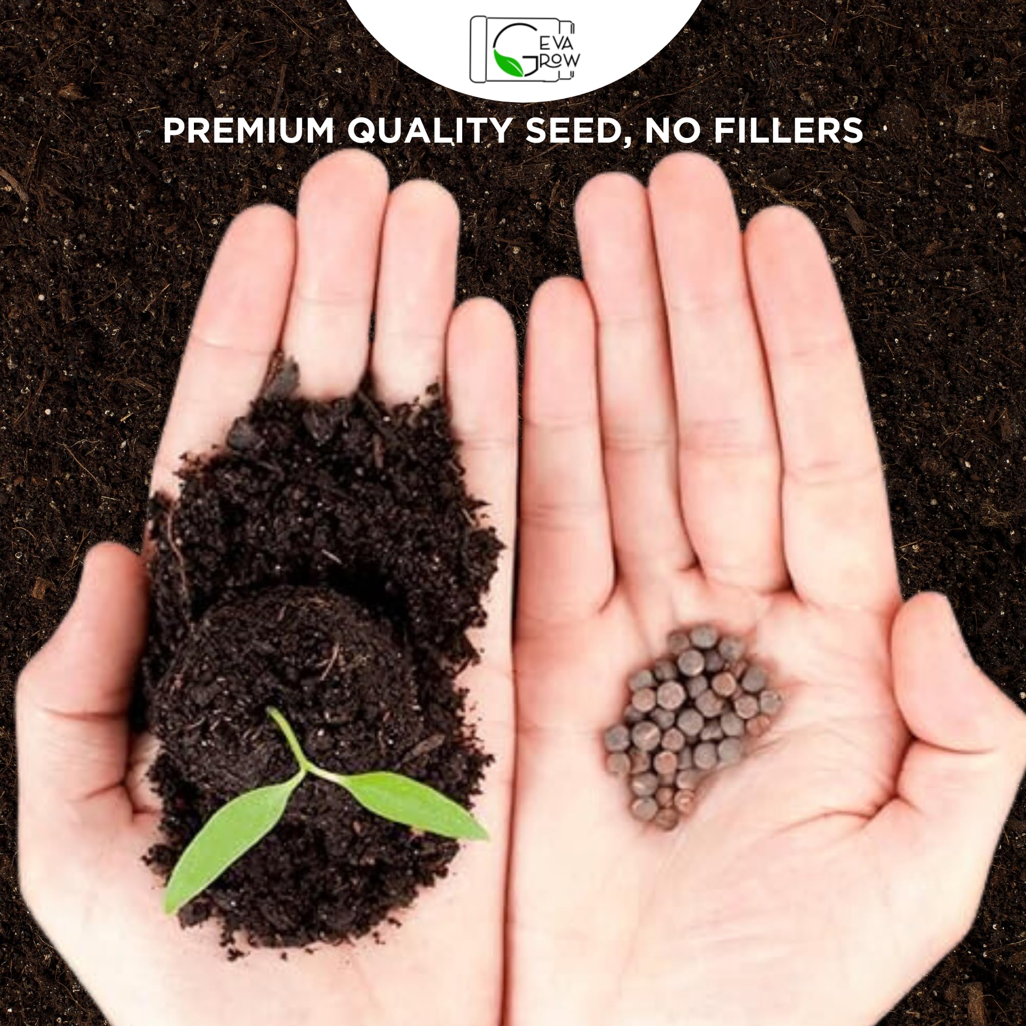 Bulk Wildflower Seed Shaker – 1 Pound Tub with 900,000+ Perennial Flower Seeds Mix (20 Varieties) by Geva Grow – Perfect for Gardens, Meadows & DIY Wedding Favors