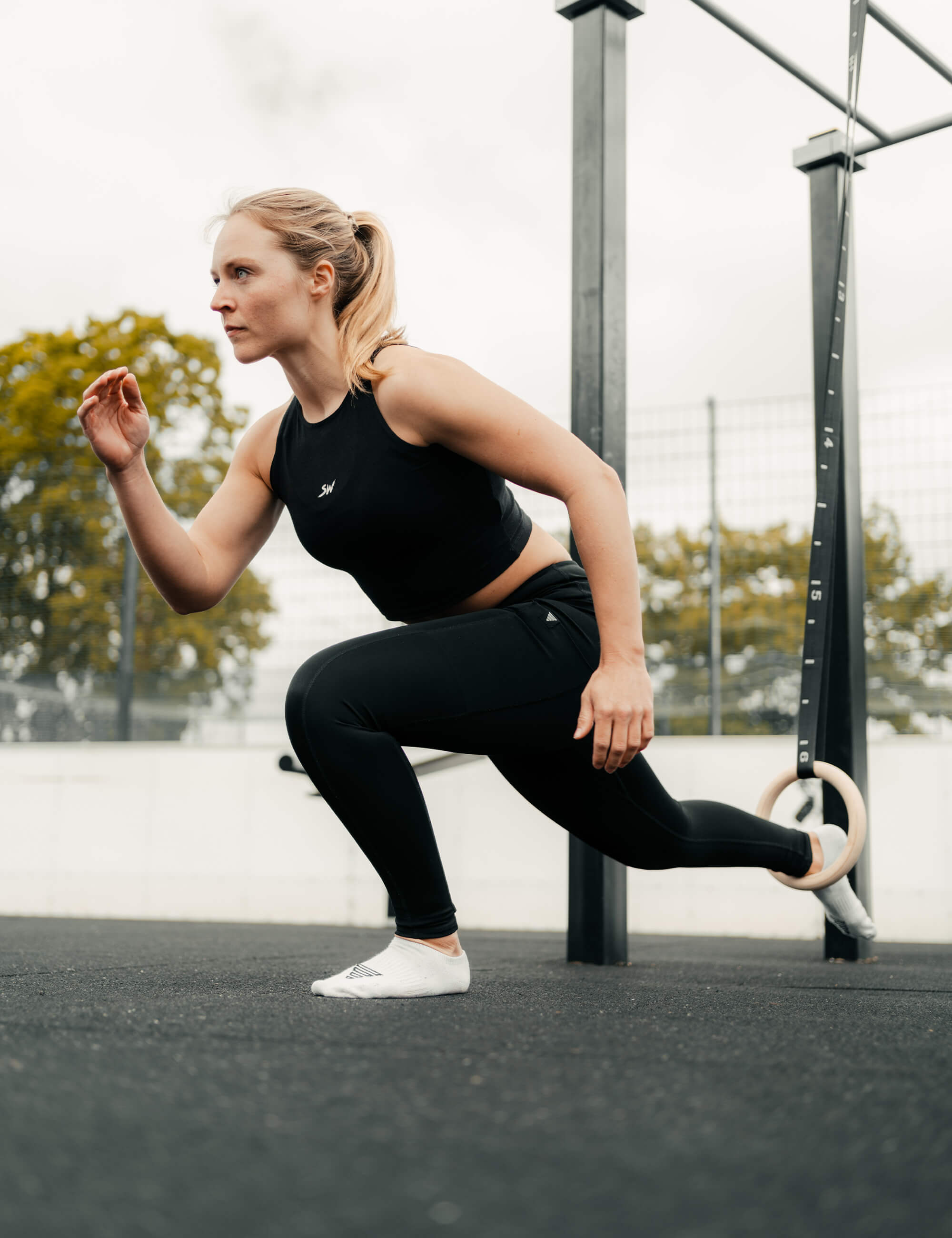 Best Workout Rings Set for Home Gym & Calisthenics Training - Adjustable Gymnastic Rings for Strength Exercises, Pull Ups & CrossFit - Perfect for Indoor & Outdoor Fitness Routines