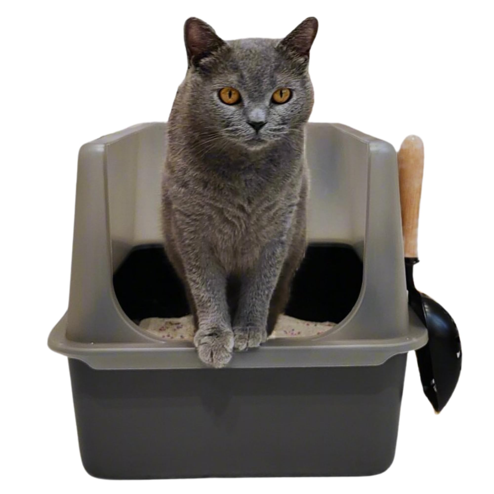 Jumbo XL Stainless Steel Cat Litter Box with Scoop - High-Sided Metal Litter Pan with Non-Stick Coating - Extra Large Covered Cat Toilet with Anti-Leak Design | Odor Control & Easy Cleaning for Multi-Cat Homes & Large Breed Cats