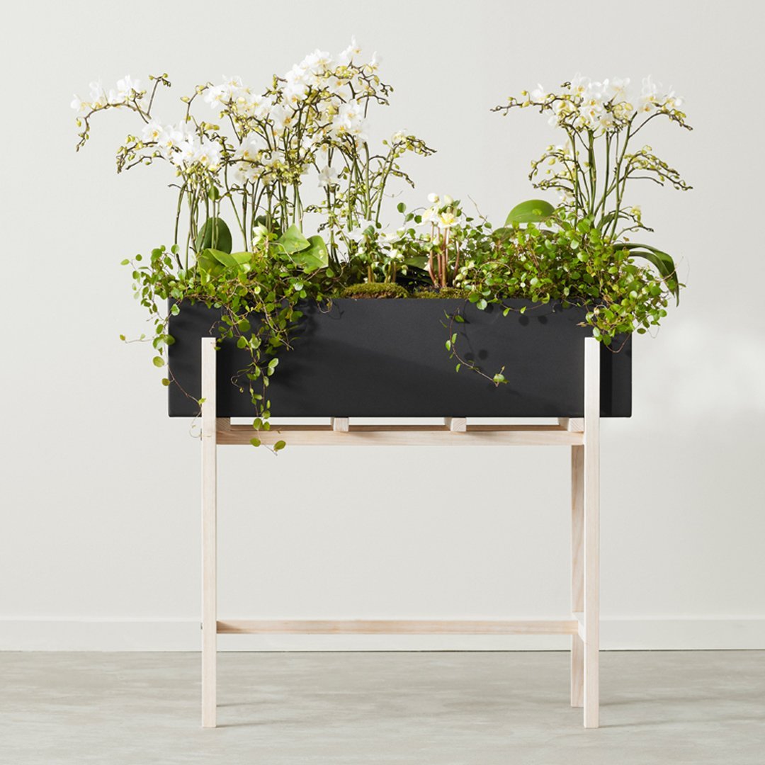 Botanic Standing Pot - Modern Decorative Plant Holder for Home & Office - Indoor & Outdoor Use for Succulents, Flowers & Herbs
