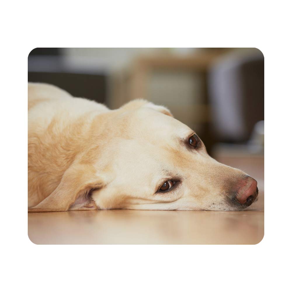 Yellow Labrador Retriever Gaming Mouse Pad - Non-Slip Rubber Computer Mousepad for PC, Laptop, Office & Home Use - 9.5x7.9 Inch Rectangle Personalized Desk Accessory - Perfect for Gamers, Workstations & Pet Lovers