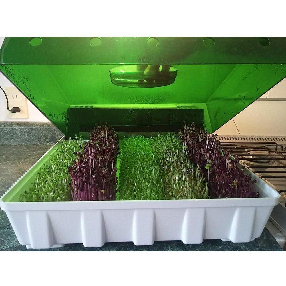 EasyGreen Light Auto Misting Sprouter EGL 50 - Indoor Herb Garden Kit for Fresh Greens, Microgreens & Wheatgrass | Perfect for Hydroponic Growing, Healthy Eating & Home Gardening