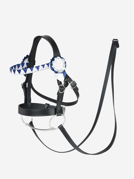 Professional Show Bridle for Hobby Horses - Durable Leather Equestrian Training Equipment for Kids & Beginners - Perfect for Dressage, Playtime & Riding Lessons