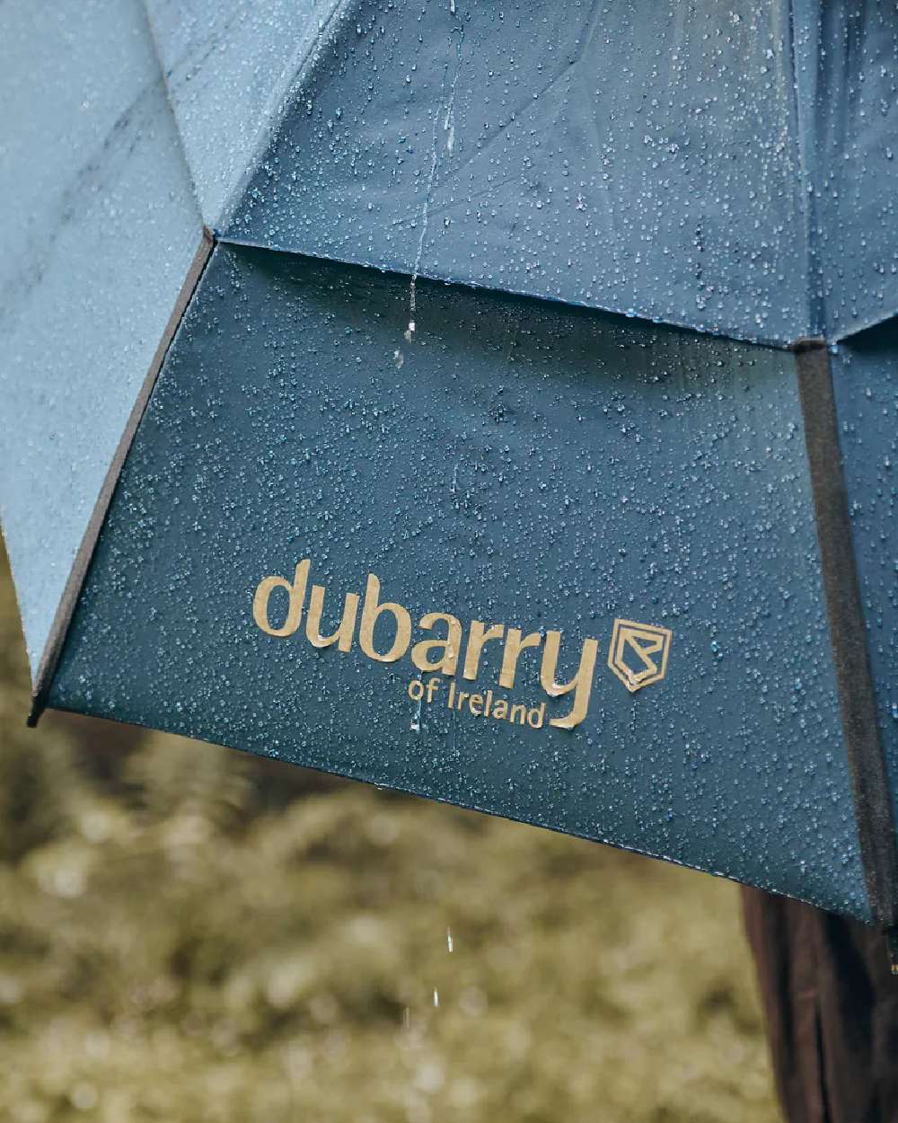 Dubarry Umbrella - Waterproof Windproof Compact Travel Umbrella for Men & Women - Perfect for Rainy Days, Outdoor Activities & Commuting