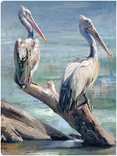 Pelican Pair