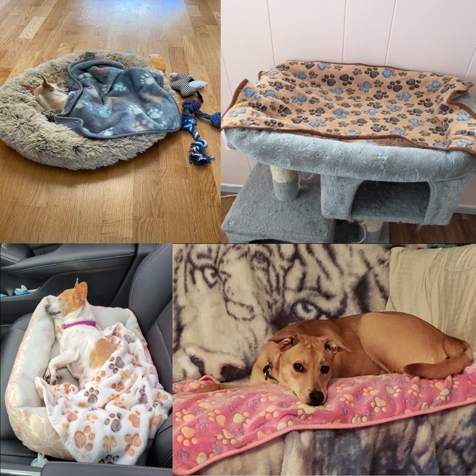 6 Pack Soft Flannel Pet Blankets for Small Dogs & Cats - Super Warm Fleece Paw Print Blanket, 23