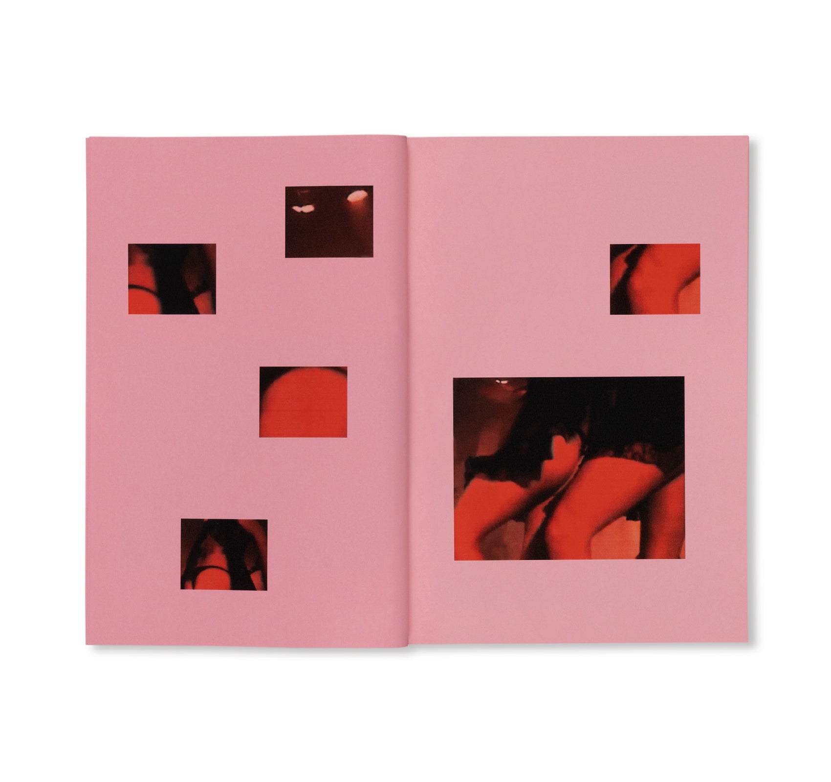Michael Clark: Dancing to the Fall - Book by Simon Pentleton & Josephine Soughan | Contemporary Dance Biography, British Choreographer Story | Perfect for Dance Enthusiasts & Performing Arts Students