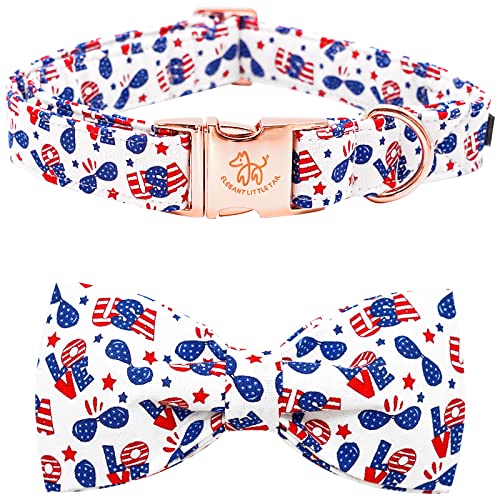 American USA