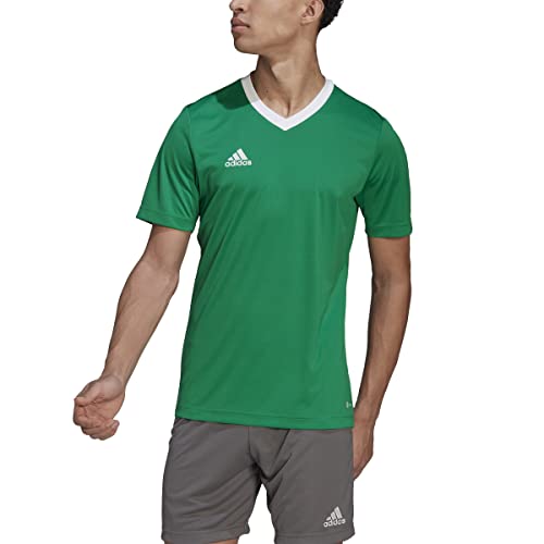 Team Green/White