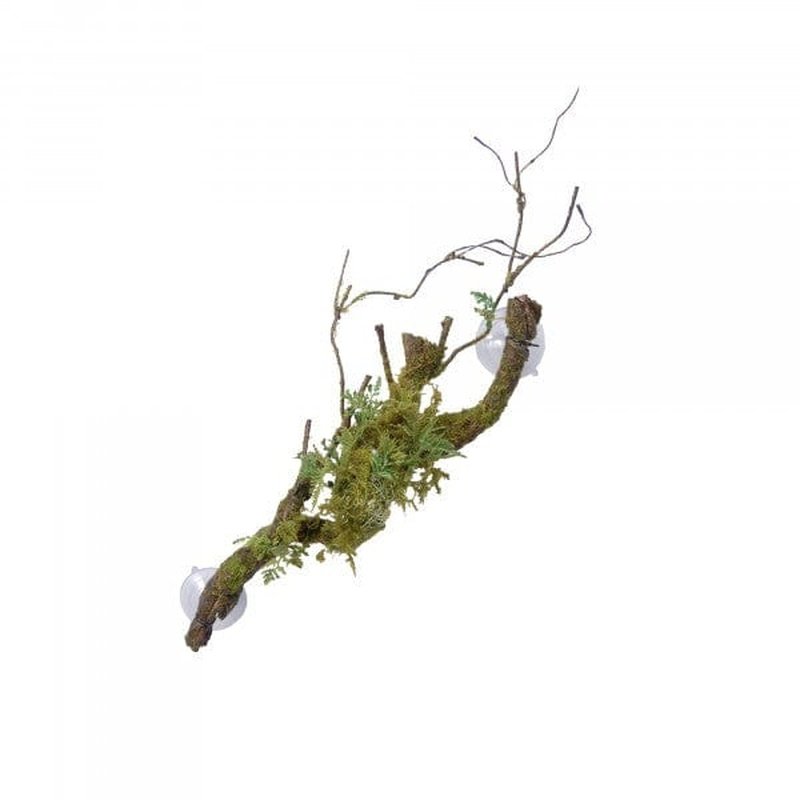 Eco-Friendly Artificial Vine Cluster with Moss, Lichen & Abutilon - 60cm Long for Home Decor, Terrariums & DIY Crafts