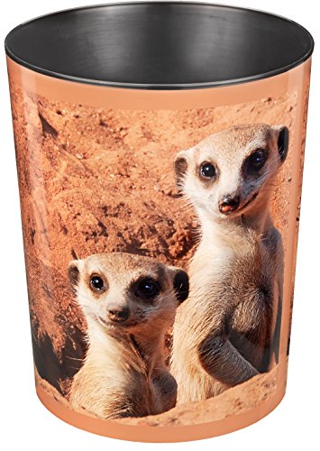 Erdmännchen