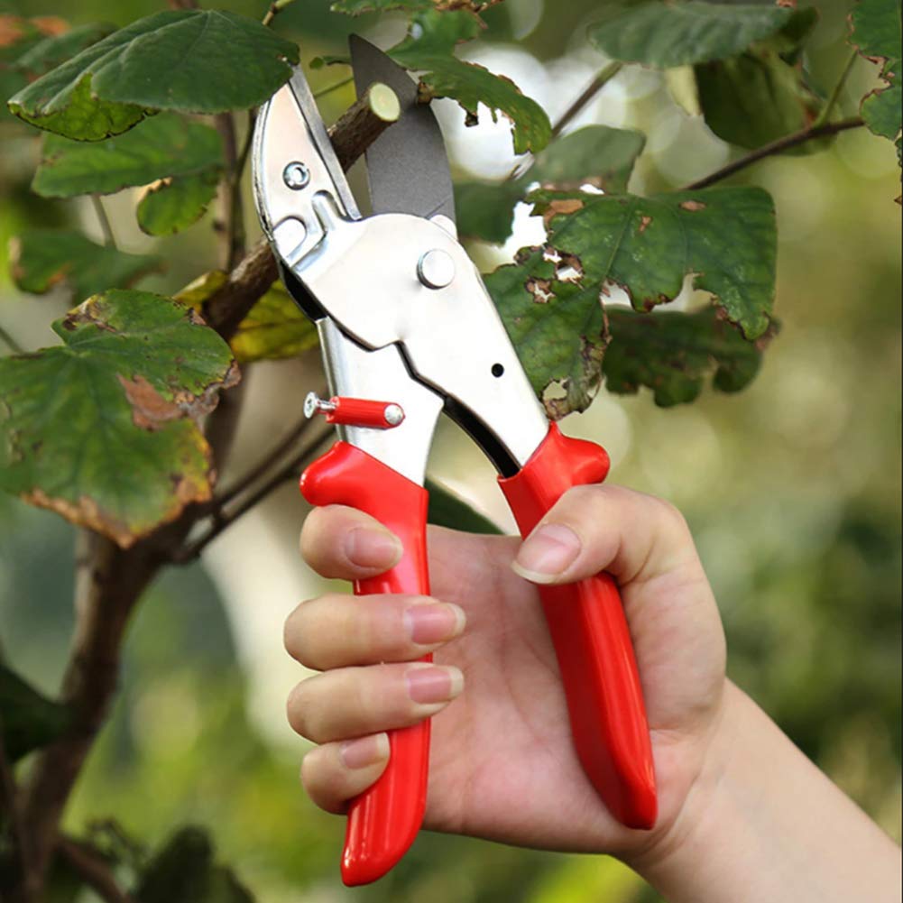 8IN Professional Bypass Pruner - Sharp Gardening Shears for Trimming Trees, Plants & Bonsai - Heavy Duty Hand Pruning Shears for Garden, Yard & Household Use