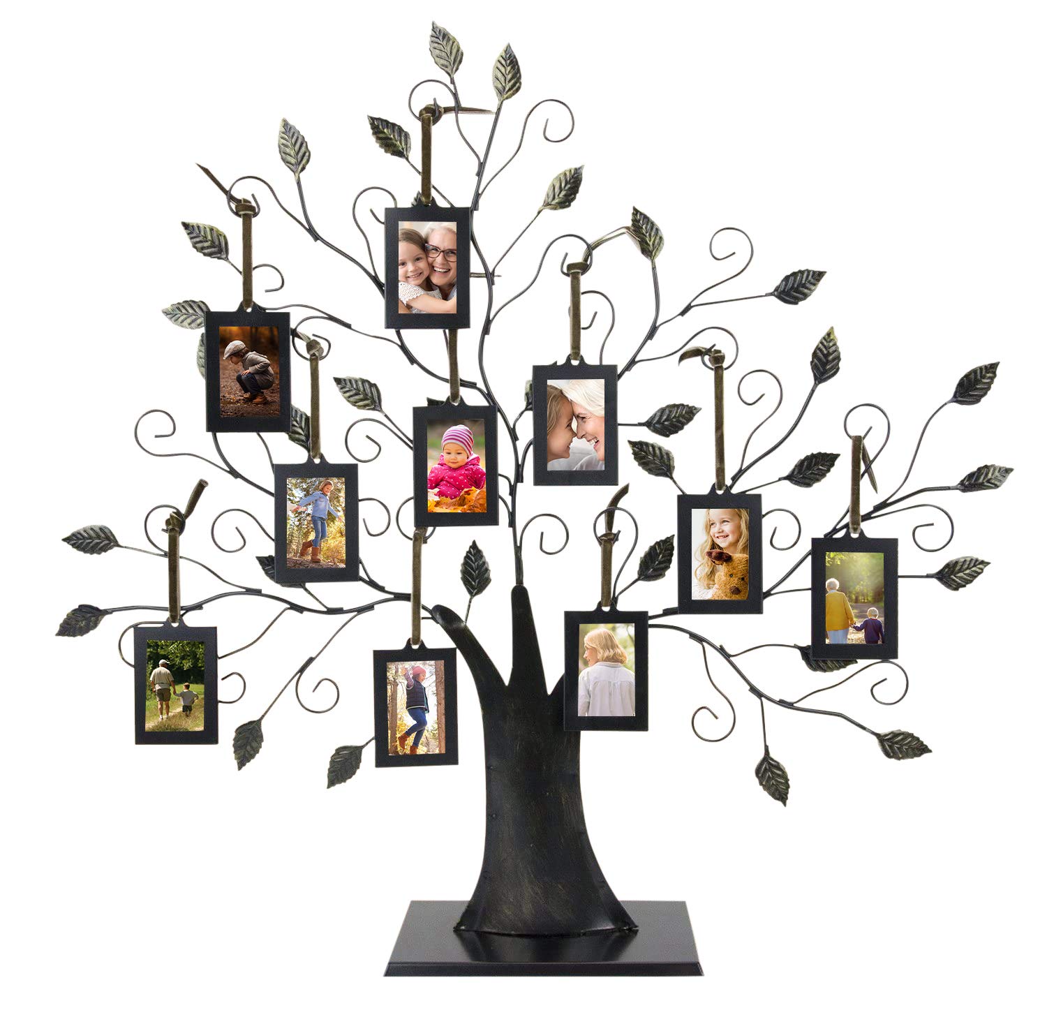 Family Tree Photo Frame - 10 Hanging Frames Wall Decor in Brushed Bronze for Home & Office