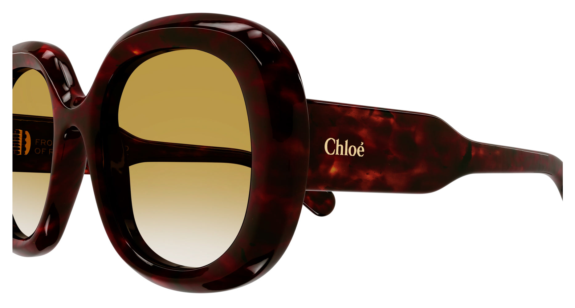 Chloe CH0153S Sunglasses for Women - UV Protection, Polarized, Fashionable & Lightweight - Perfect for Driving, Beach & Outdoor Activities