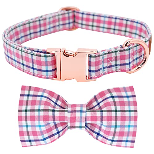Pink Plaid Collar