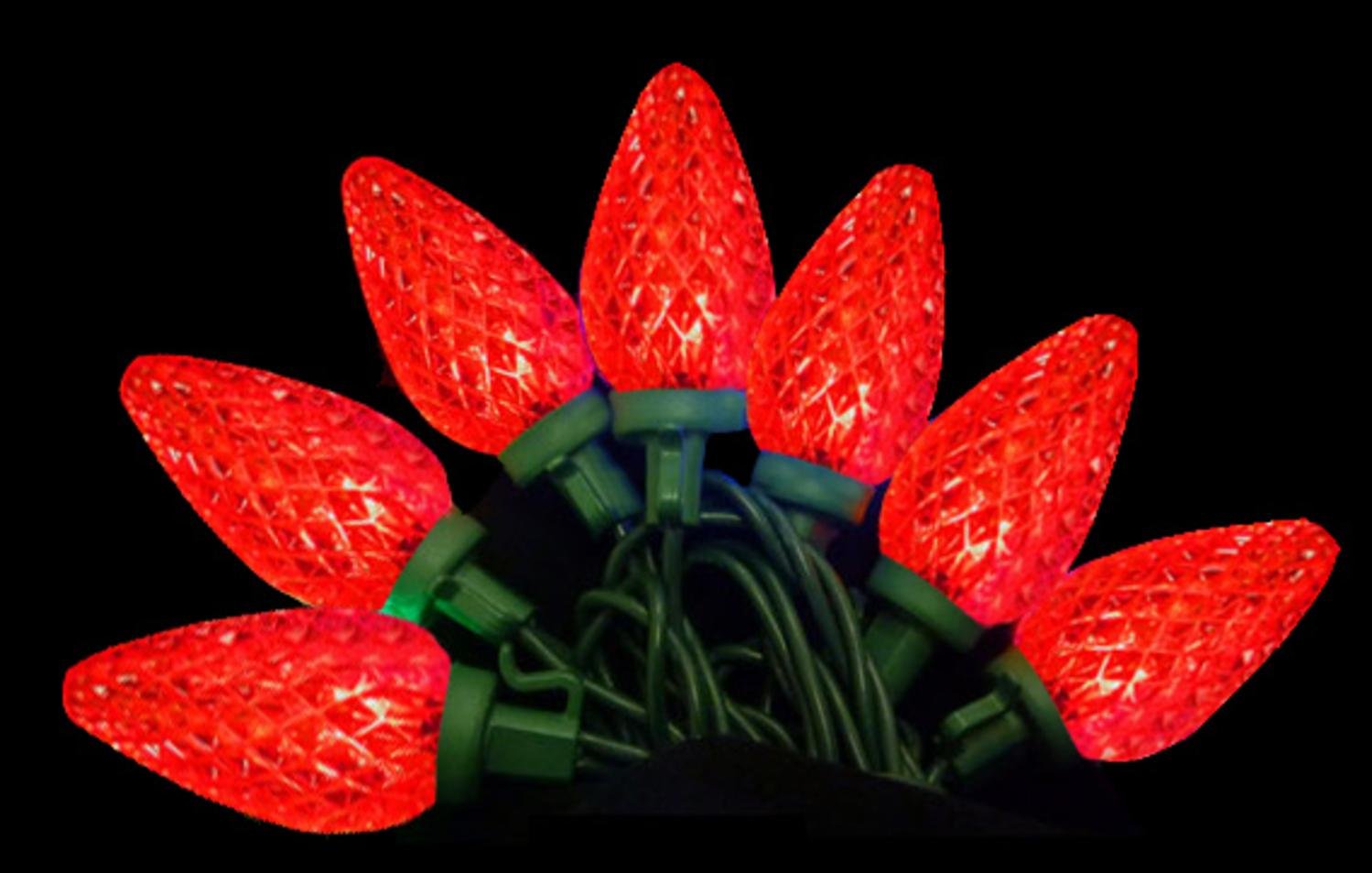 Vickerman 25-Light Red C7 LED Christmas String Lights on Green Wire - Indoor/Outdoor Holiday Decor for Tree, Patio & Home