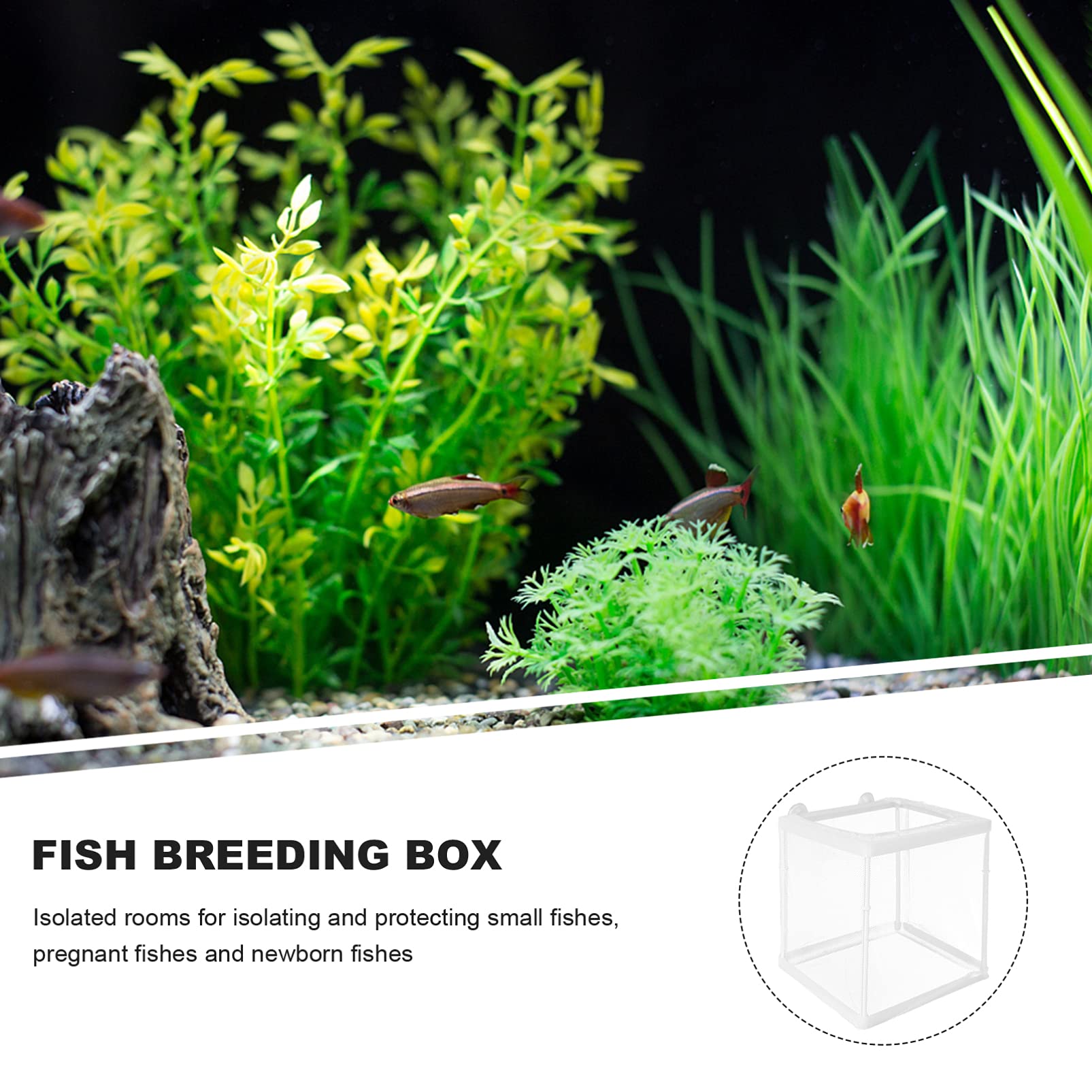 TEHAUX 1-Piece Fish Breeding Box with Net - Transparent Nursery Tank for Baby Fish, Aquarium Incubator with Water Dripping System - Ideal for Fish Tank Breeding, Fry Protection & Safe Environment (White) - Perfect for Home Aquariums, Fish Farms & Aquatic Hobbyists