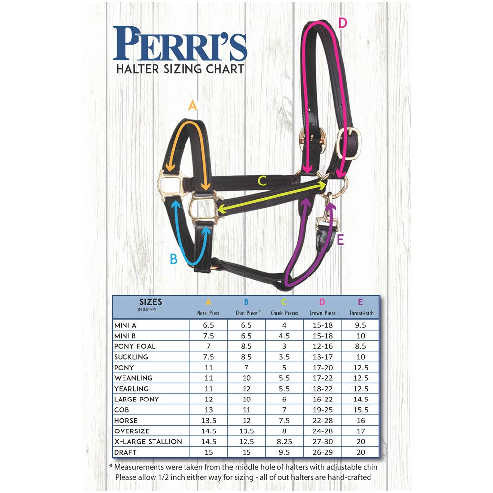 Perri's Padded Leather Horse Halter - Comfortable & Durable Havana/Hunter Green Equestrian Gear for Training & Show