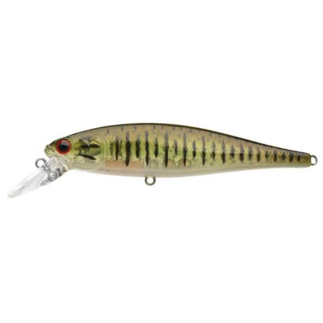 Ghost Minnow