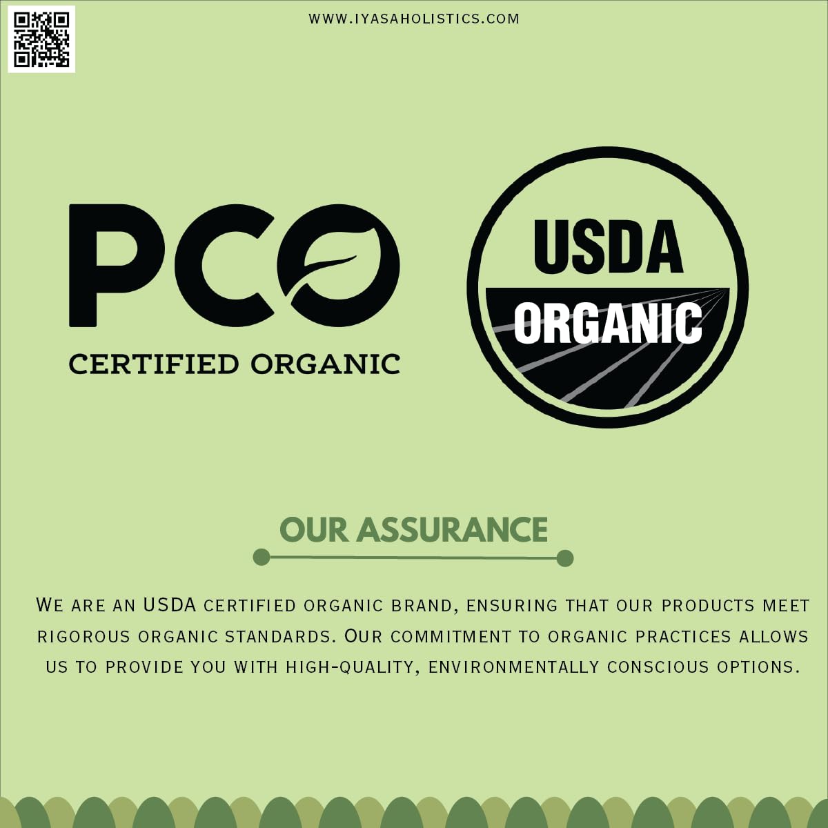 Organic Aloe Vera Leaf Powder (Aloe Barbadensis) - 4oz Resealable Pouch | Natural Hair Conditioner, Skin Moisturizer & Exfoliating Scrub | For DIY Face Masks, Hair Treatments & Body Care