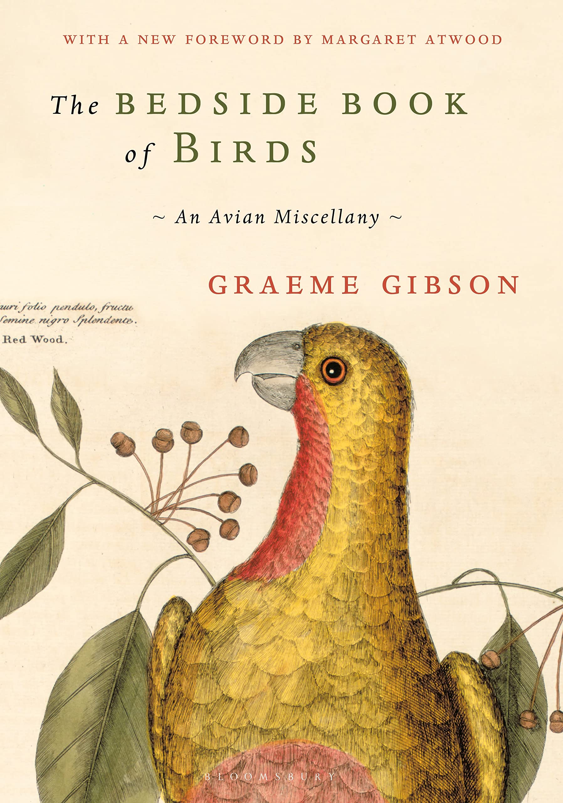 The Bedside Book of Birds: A Guide to North American Bird Species for Nature Lovers - Perfect for Birdwatching, Home Decor & Gift Giving