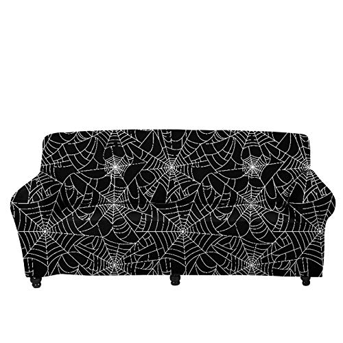Spider Web