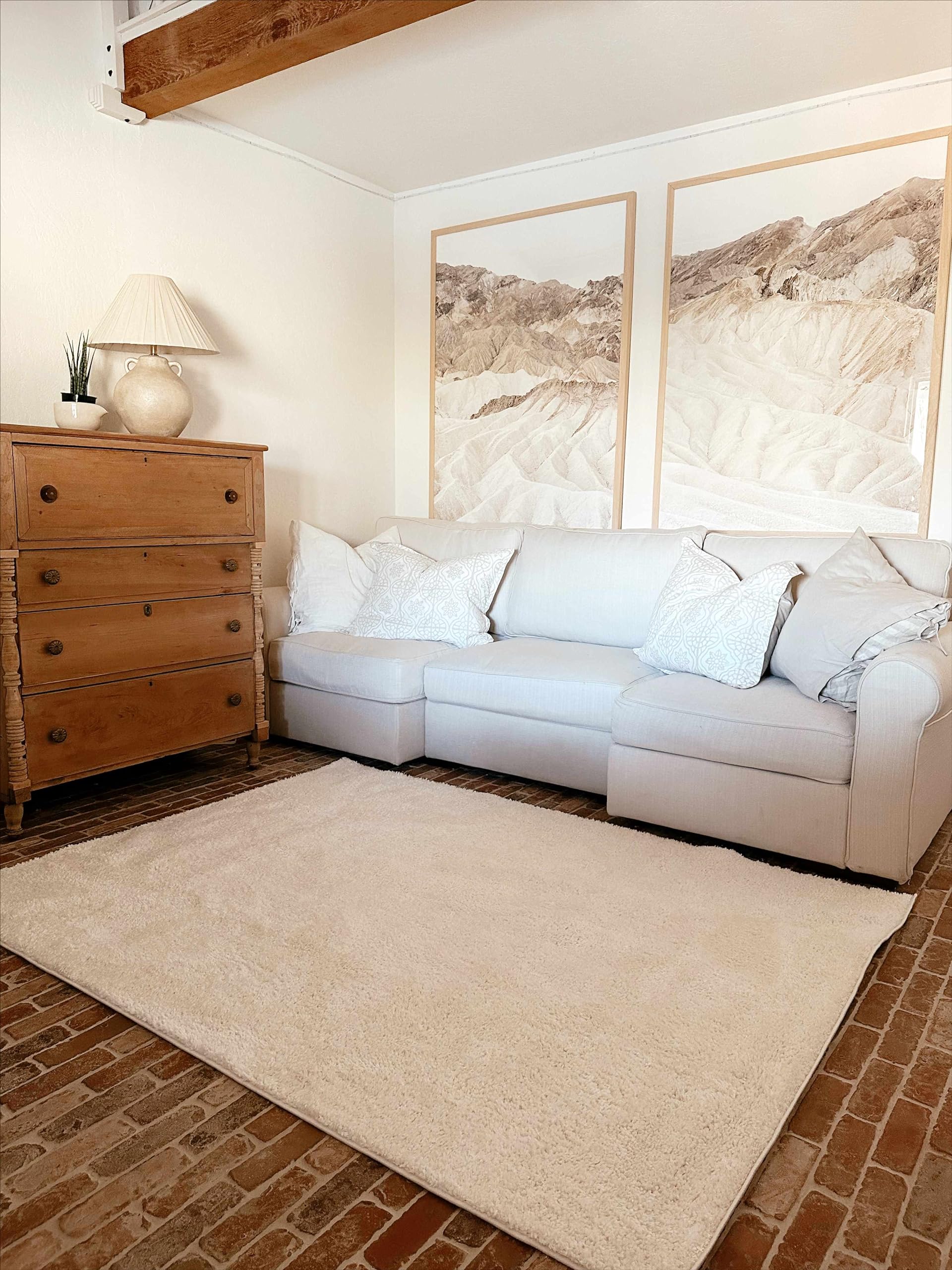 Judy Machine Washable Solid Shag Rug - Soft Fluffy High Pile Area Carpet for Living Room & Bedroom - Blush & Brown - 5'3