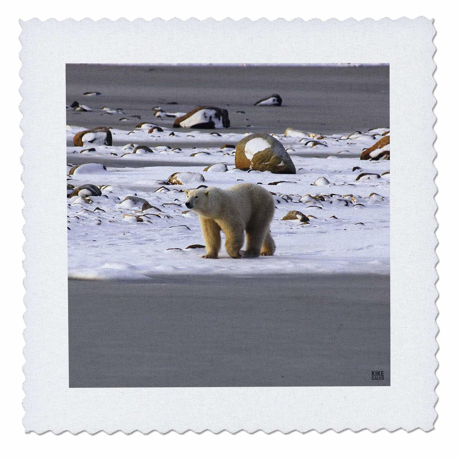 3D Rose qs_10718_1 Polar Bears Quilt Square - 10x10 Inch Quilting Fabric Panel for DIY Crafts, Home Decor, and Scrapbooking Projects