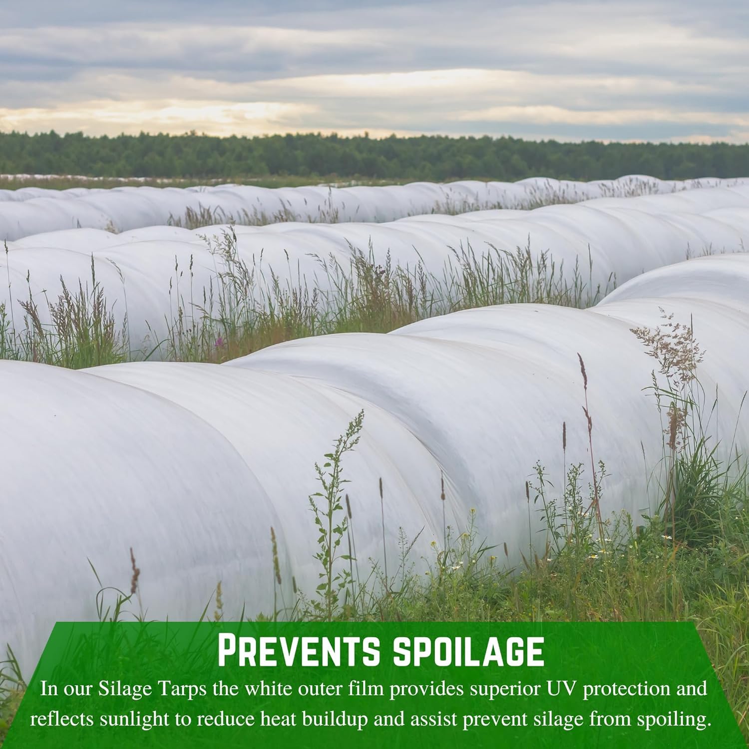 Heavy Duty 8 Mil Black/White Silage Tarp - Farm Plastic Supply Polyethylene Sheeting for Silage Cover, Bunker Cover, Agriculture & Ground Covering (40' x 10') - Ideal for Farming, Livestock Feed Storage & Crop Protection