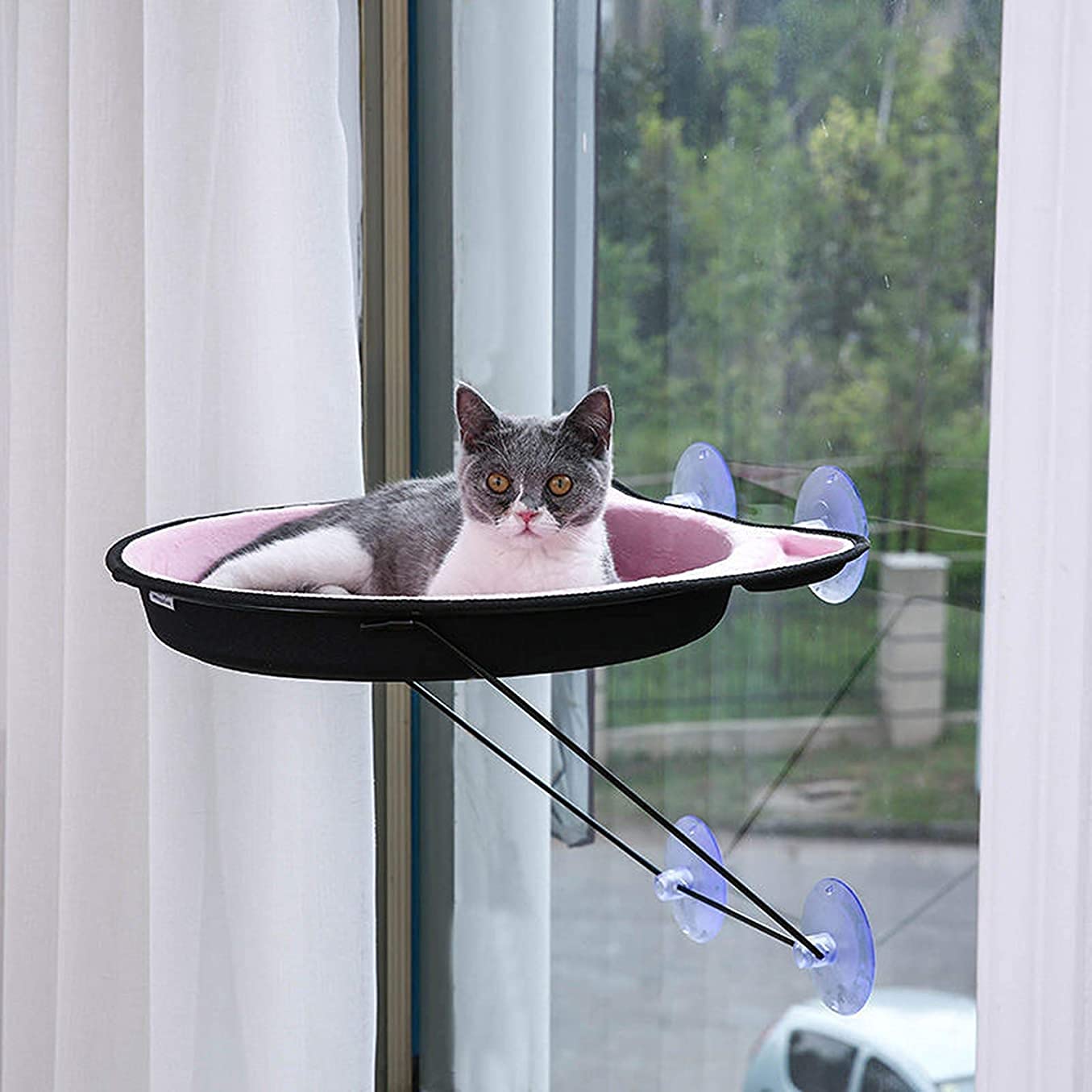 Premium Cat Window Hammock with Suction Cups - Cozy Mounted Pet Bed for Sunbathing & Lounging - Pink Hanging Perch with Cushion - Perfect for Indoor Cats to Relax & Watch Birds (Pink)