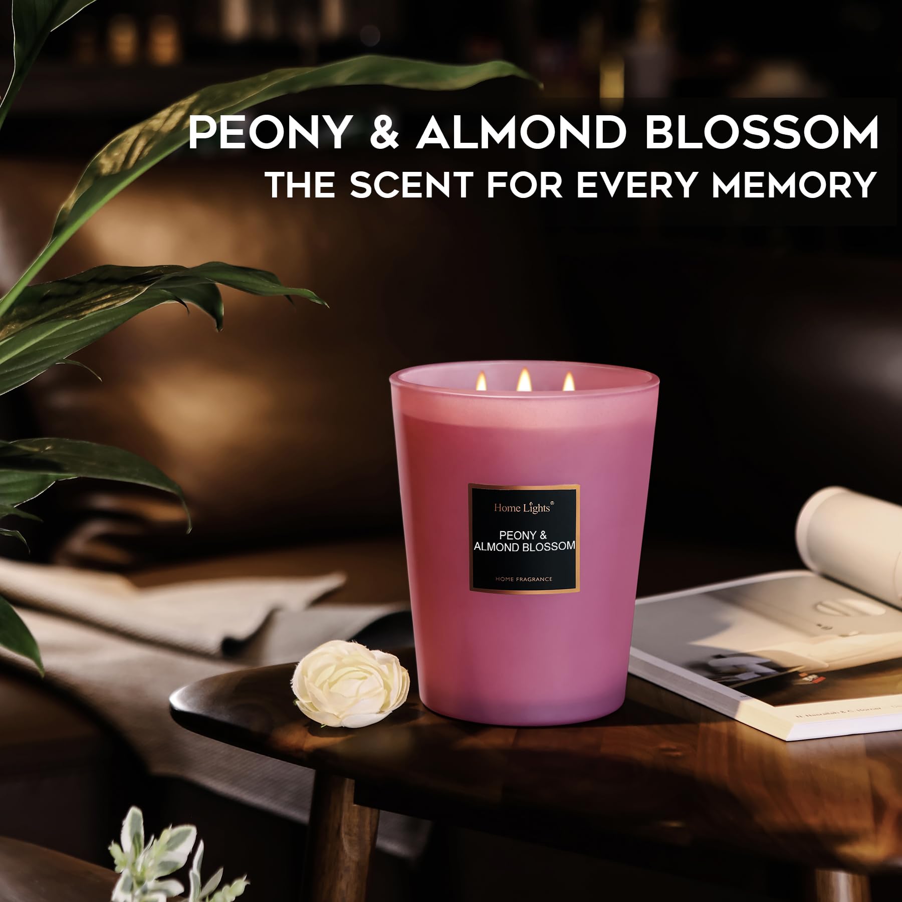 HomeLights Scented Candles - Large Jar Aromatherapy Candles with Natural Soy Wax, 130 Hours Long Burning, Peony & Almond Blossom Fragrance | Perfect for Relaxation, Meditation, Home Decor & Gift Giving