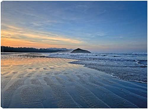 Sandy Shore