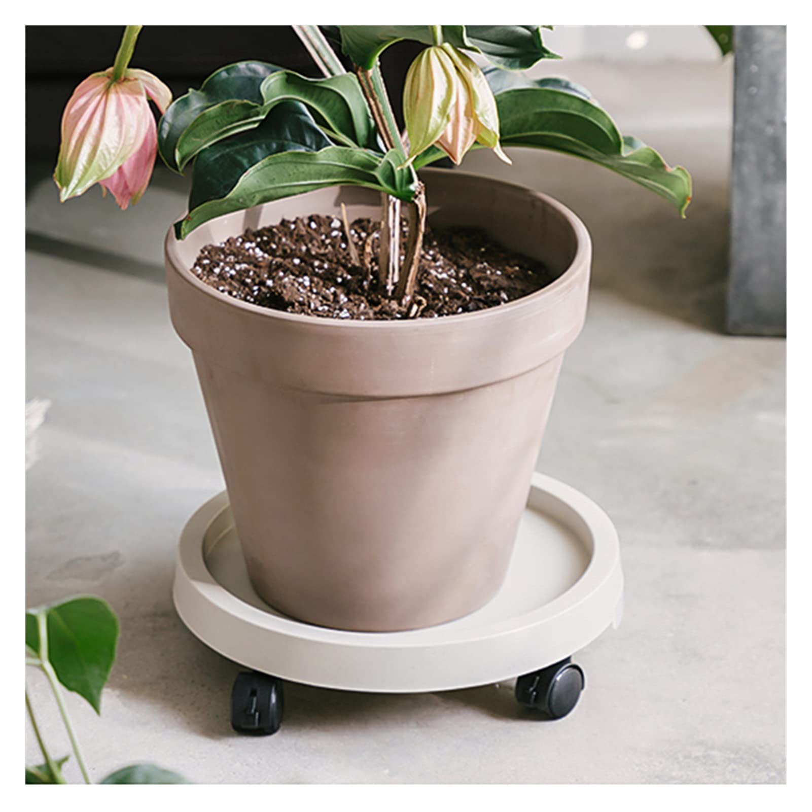 Adjustable Rolling Plant Stand 11-17 Inch - Heavy Duty Flower Pot Mover with 360° Swivel Casters - Indoor/Outdoor Garden Dolly Trolley for Potted Plants - Perfect for Home, Patio, Balcony & Greenhouse (Beige, 15.6 Inch)