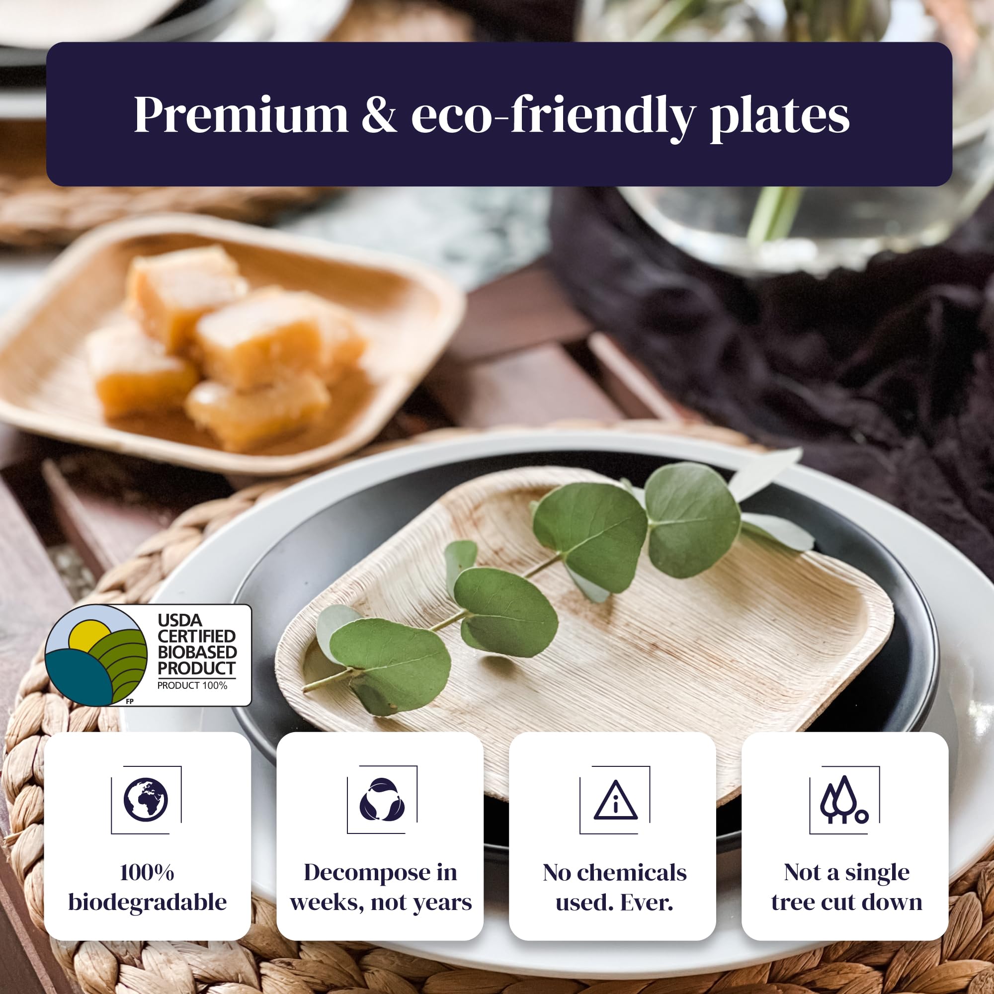 Eco-Friendly 6 Inch Square Palm Leaf Plates - 20 Pack | Biodegradable & Compostable Disposable Bamboo Plates | Premium Sturdy Wood-Style Dessert Plates for Parties, Picnics, Weddings & Sustainable Dining