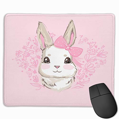 Cute rabbit