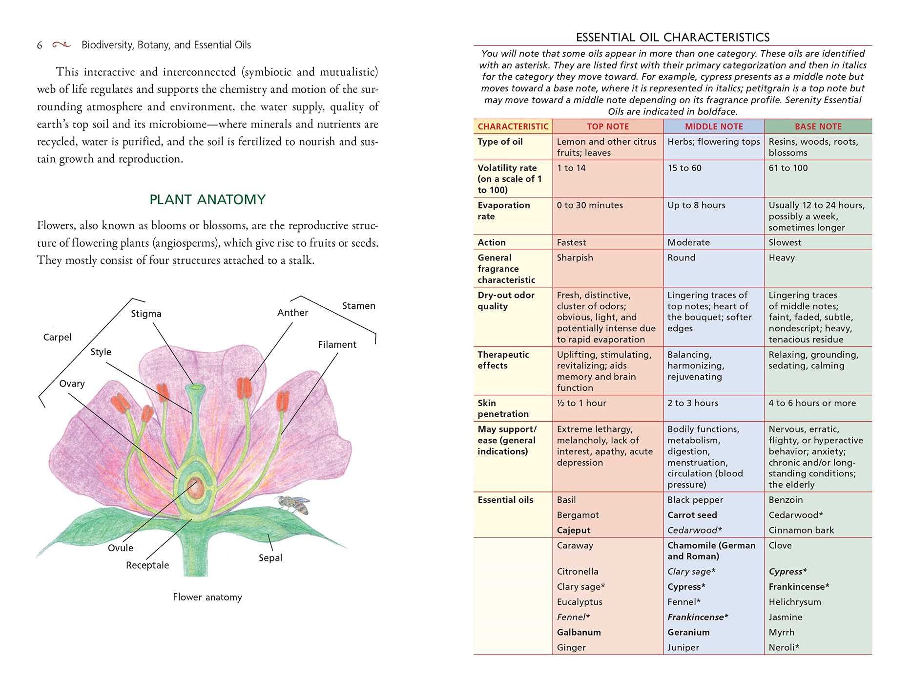 58 Essential Oils for Healing: Antiviral & Restorative Properties | Natural Remedies for Wellness, Stress Relief & Aromatherapy | Boost Immunity & Enhance Life
