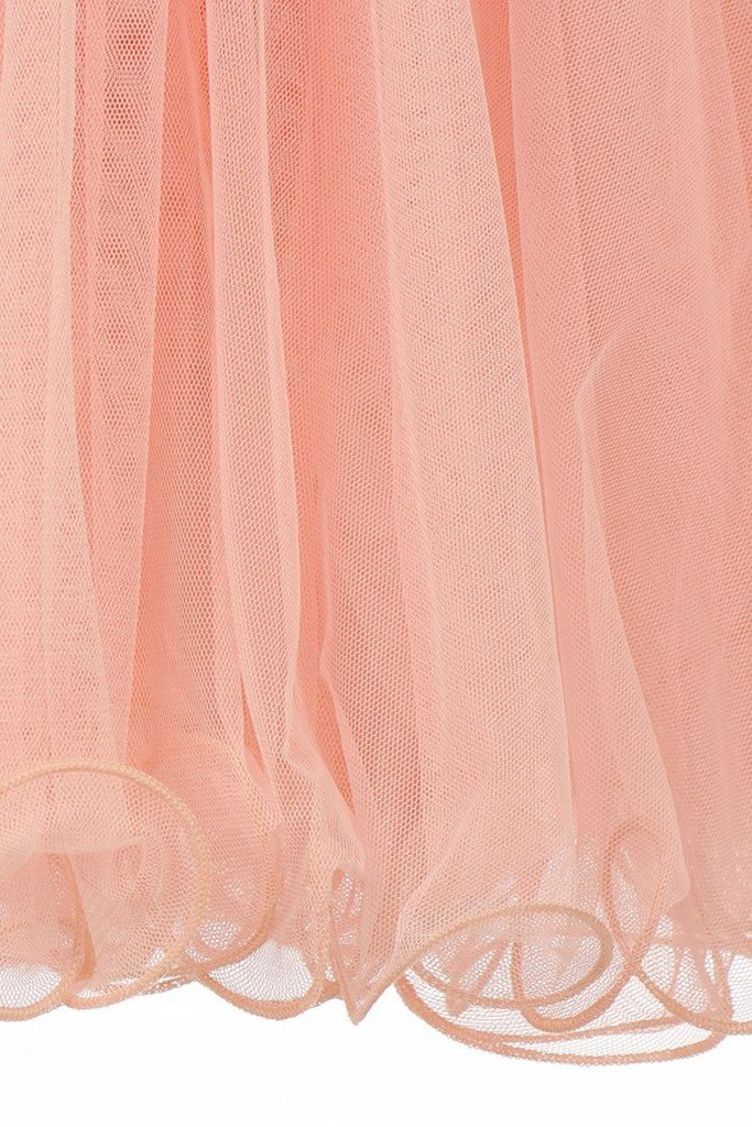 Little Girls' See-Through Waistline Lace Flower Dresses - Elegant & Comfortable for Parties, Weddings & Special Occasions