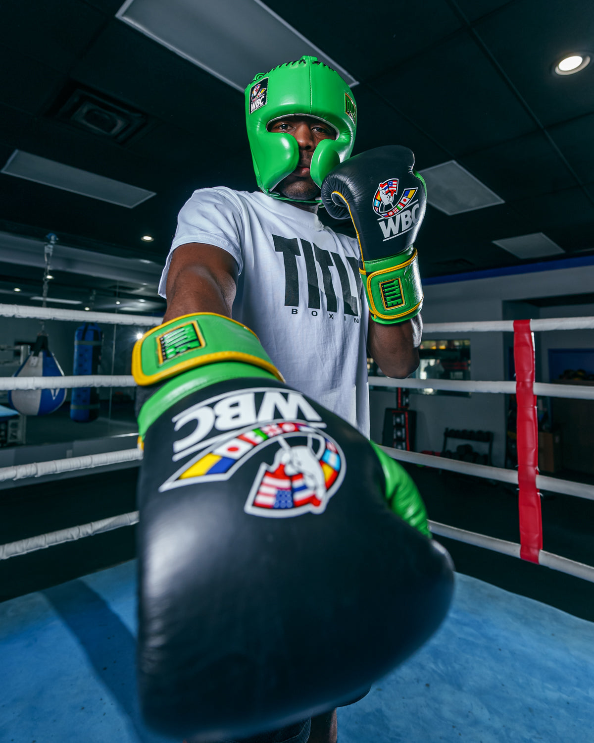 WBC by TITLE Boxing Training Gloves - Professional Boxing & MMA Sparring Gear for Fitness Training & Heavy Bag Workouts