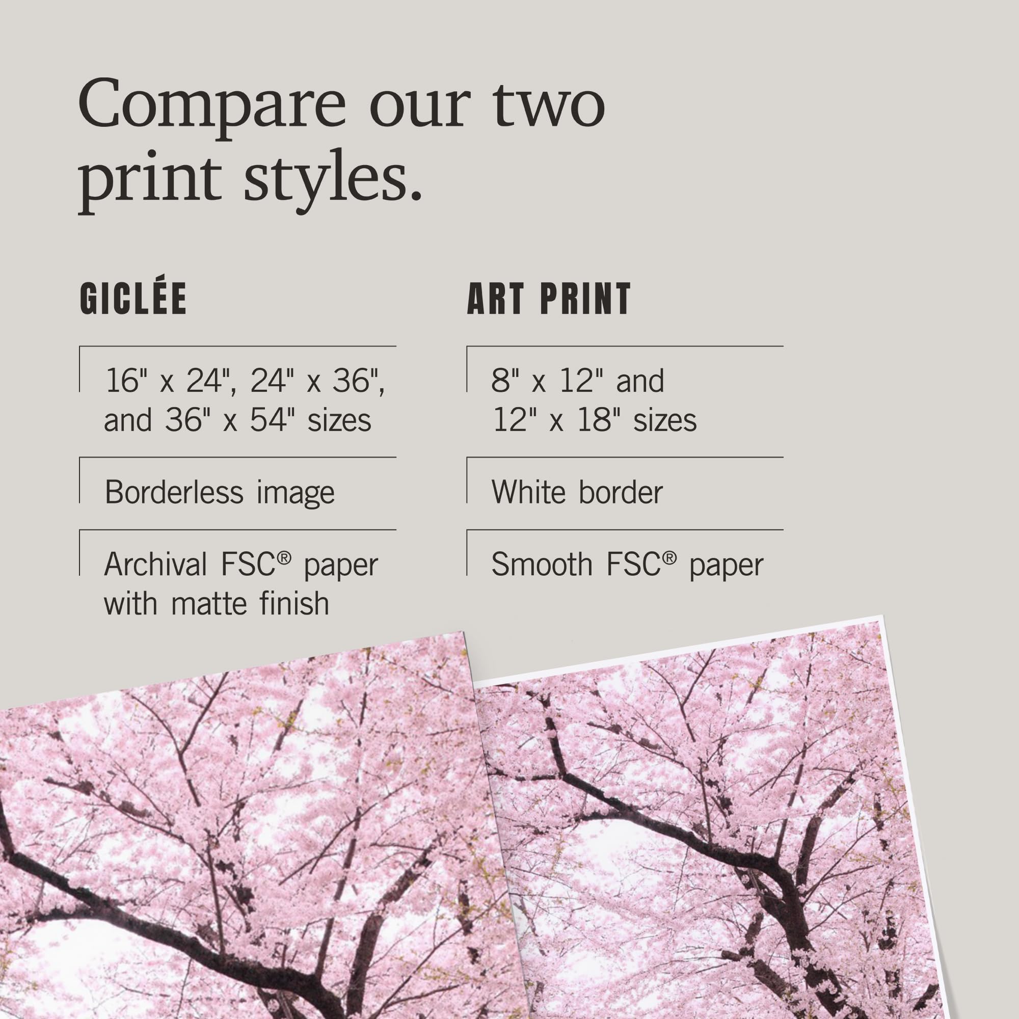 Lantern Press 16x24 Inch Cherry Blossom Giclee Art Print - Premium Wall Decor for Living Room, Bedroom & Office - Spring Floral Landscape Painting Home Decoration