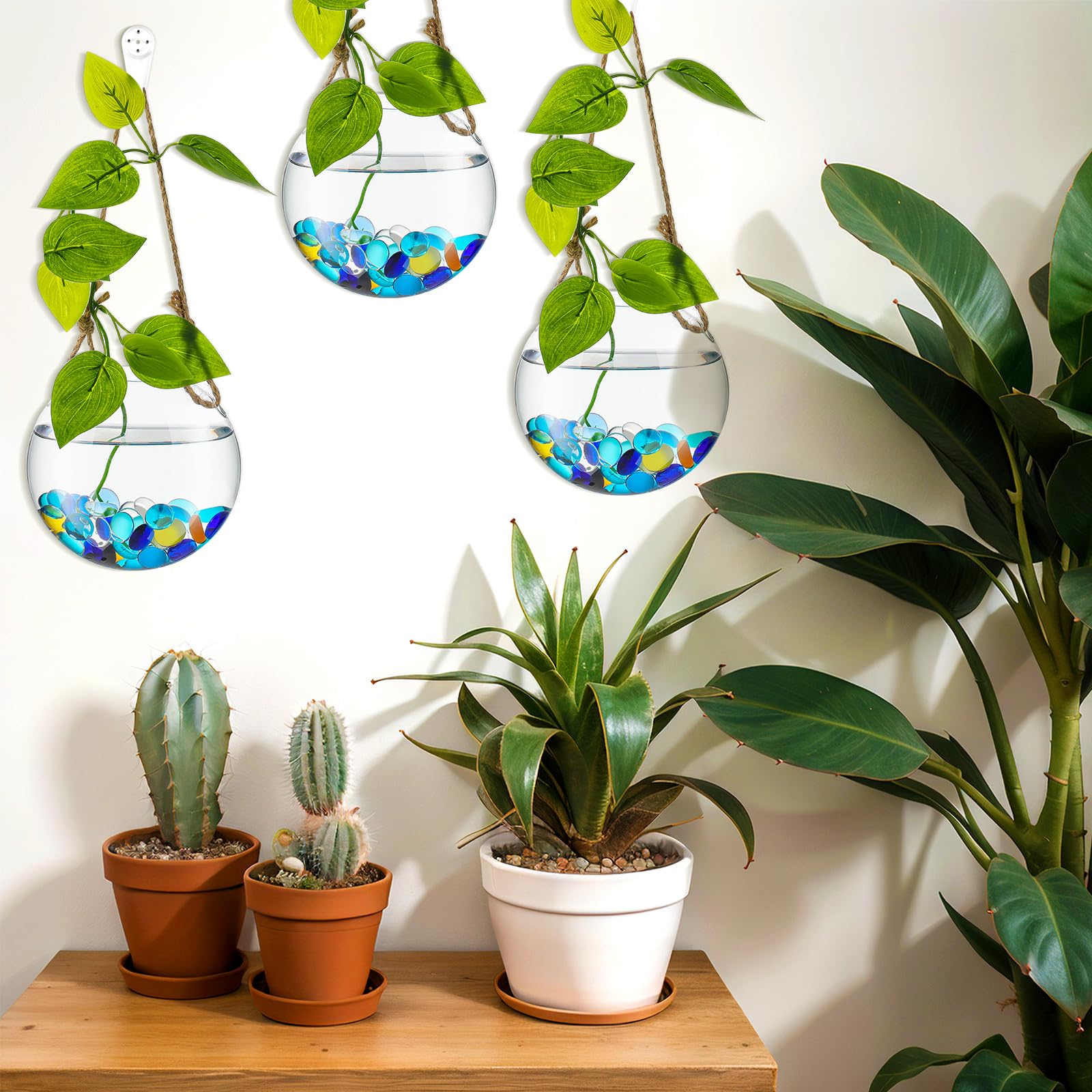 6 Pack Glass Wall Hanging Planters - Round Terrarium Vases for Air Plants, Hydroponic Propagation & Flowers | Indoor Home Decor, Office & Window Display (Waterproof Containers)