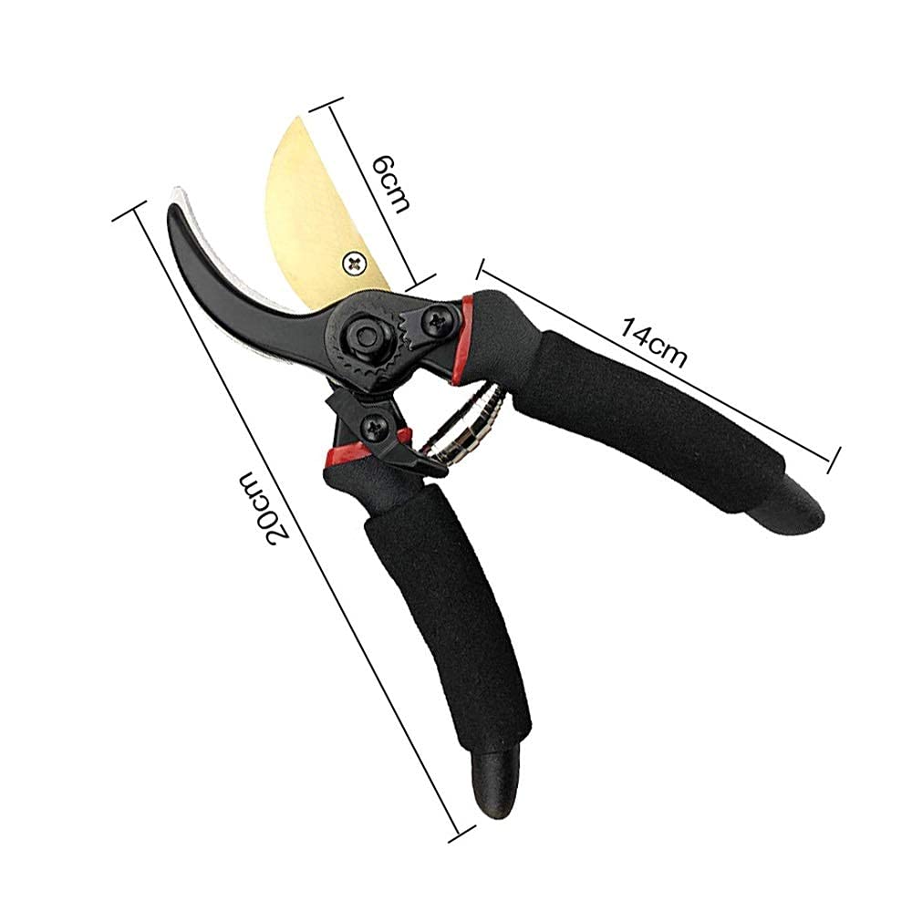Professional Gardening Scissors & Pruning Shears with Safety Lock - Sharp Stainless Steel Blades for Tree Trimming, Plant Pruning & Landscaping - Ergonomic Non-Slip Handle for Comfortable Use (Ideal for Gardeners, Florists & DIY Enthusiasts)