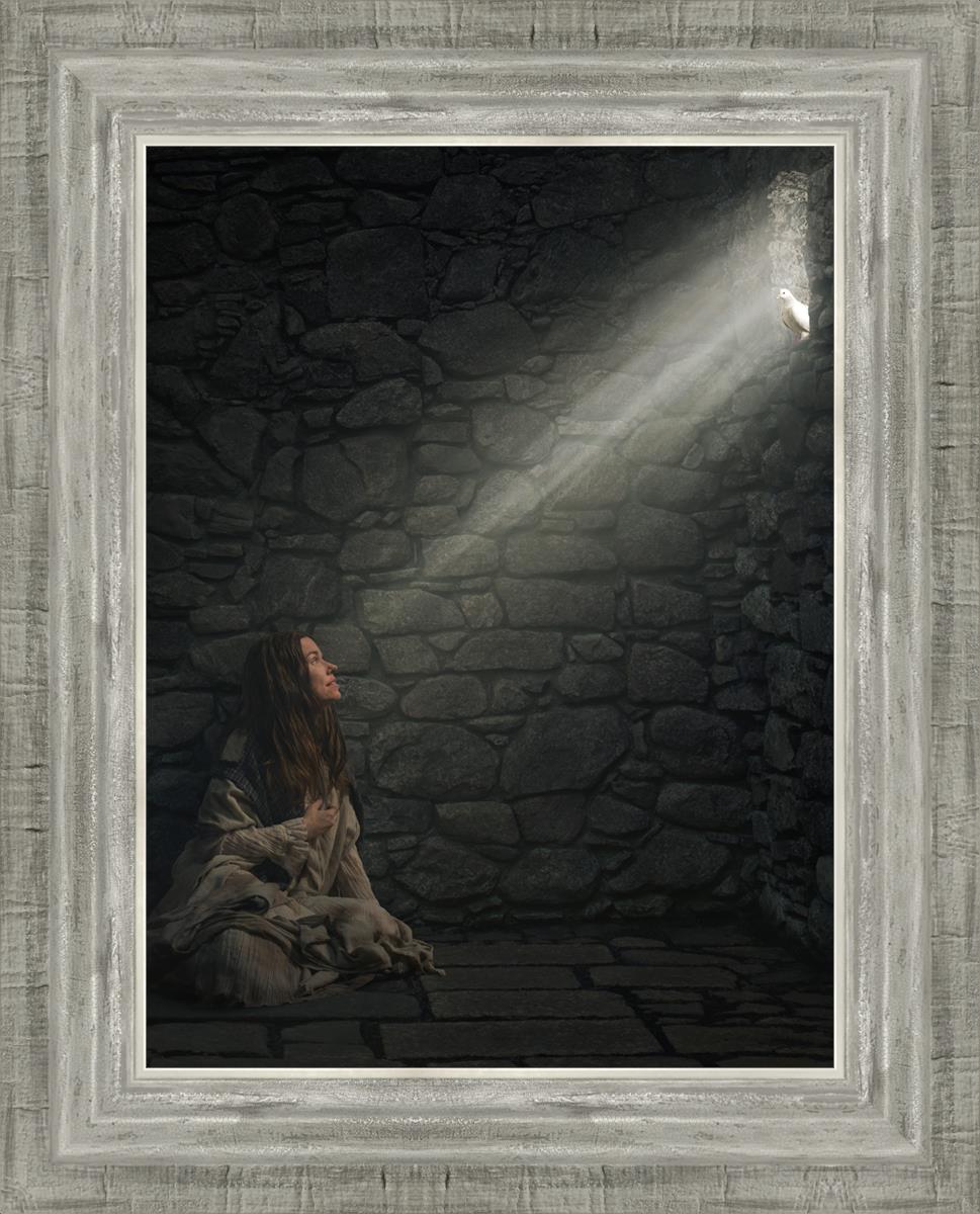 A Captive's Hope - Inspirational Book for Overcoming Adversity | Perfect for Self-Help, Motivation & Personal Growth