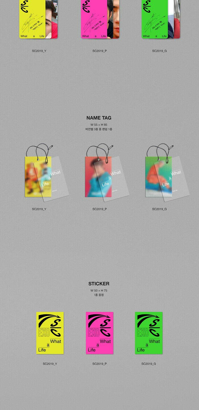 EXO-SC WHAT A LIFE Chanyeol & Sehun 1st Mini Album [SC2019_P] - CD, Photo Book, Folded Poster, Photo Card & EXO Gift - K-Pop Collectors Edition (Perfect for Fans, Gifts & K-Pop Collections)