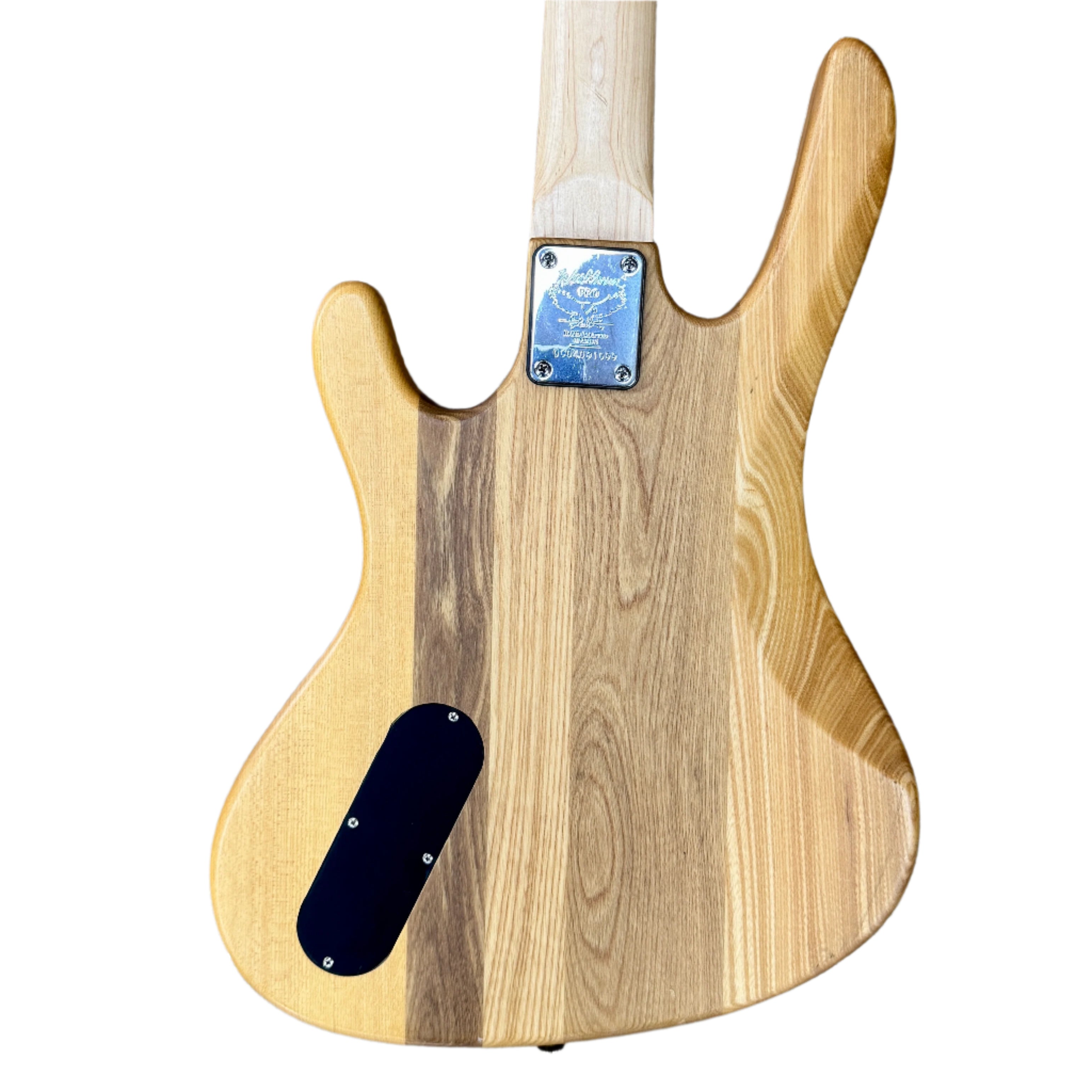 Washburn XB100 Electric Bass Guitar with Soft Case - Perfect for Beginners, Live Performances & Studio Recording