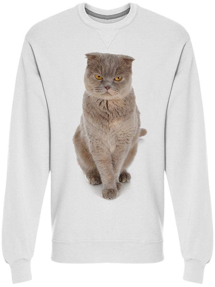 Stylish Furry Cat Print Men's Hoodie - Cozy Pullover Sweatshirt for Casual Wear & Cat Lovers - Perfect for Fall Outfits, Lounge Wear, and Gifts
