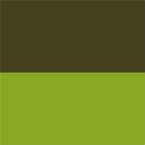 Dark Green/Light Green