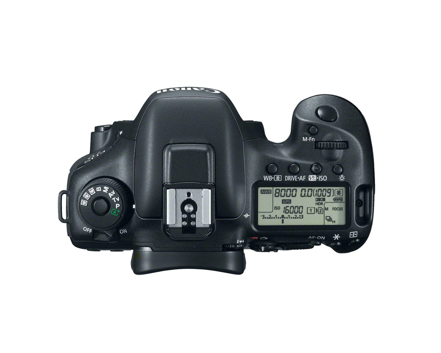 Canon EOS 7D Mark II DSLR Camera with Wi-Fi Adapter, 64GB Memory Card & Professional Backpack Bundle - Perfect for Travel Photography, Wildlife Shooting & Professional Portraits