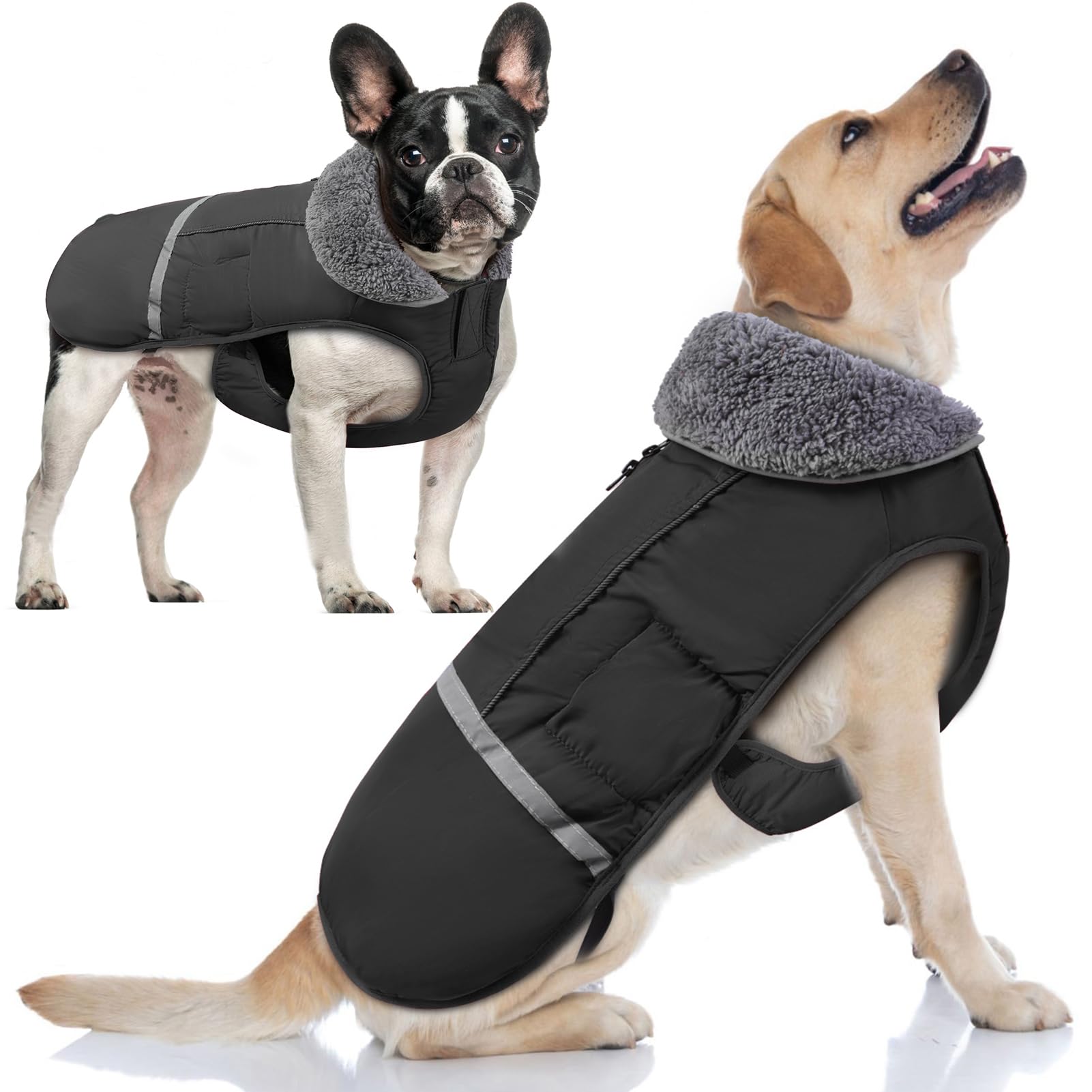 Doglay Waterproof Dog Winter Coat - Thick Fleece Lining & Reflective Design for Small Medium Large Dogs | Cold Weather Protection for Walking, Hiking & Outdoor Adventures