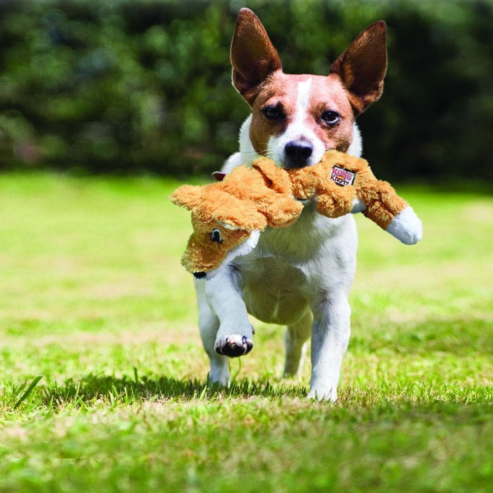 Scrunch Knots Squirrel Dog Toy - Plush Rope Chew Toy with Squeaker for Small & Medium Dogs - Perfect for Playtime, Training & Teething Relief