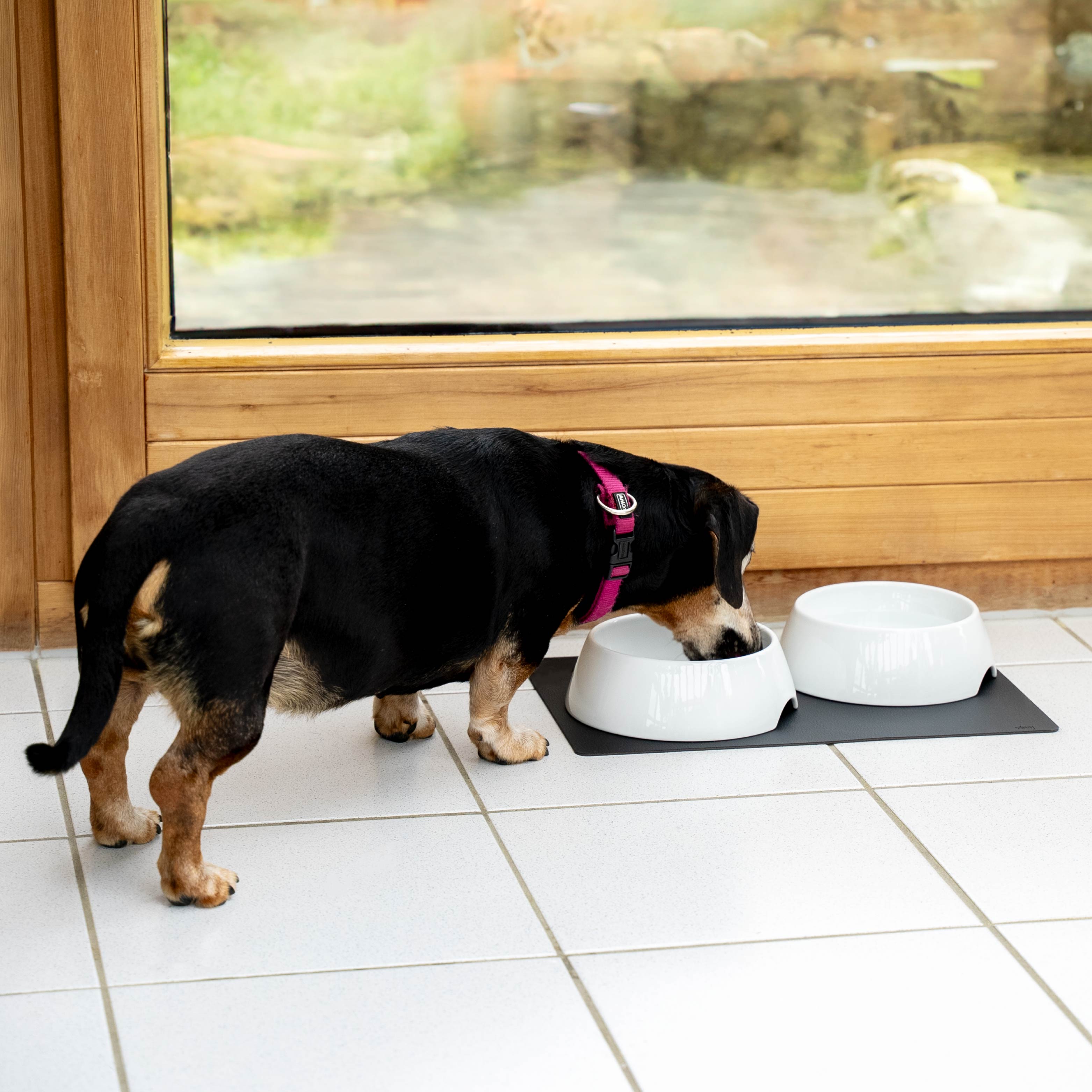 Magnetic Ceramic Pet Bowls with Non-Slip Mat - Durable Dog & Cat Food Dishes for Mess-Free Feeding at Home or Travel